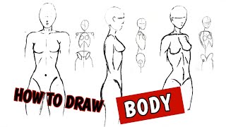 How to draw a body step by step  basic anatomy [upl. by Genevra]