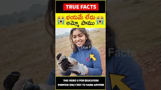 Girl rescued snake inspiration 😲అమ్మో పాము😲 amazingfacts truefacts shorts [upl. by Elnora333]