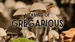 What is the meaning of Gregarious [upl. by Amsed]