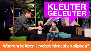 Waarom hebben lieveheersbeestjes stippen  Kleutergeleuter [upl. by Glogau]