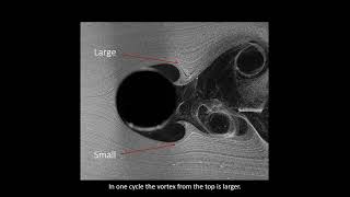 Inline VortexInduced Vibrations [upl. by Werdna]