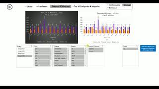 Gestionnaire de budget visualisation 12 graphiques interactifs [upl. by Veradis177]