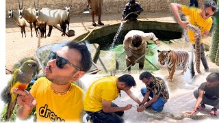 HUMARE ZOO ME ROZ KIYA KARTE HEIN HUM DAILY ROUTINE WORK [upl. by Sudnac]