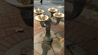 Wheres the quotBubblerquot Quick History of Drinking Fountains  Marcs Misc Short [upl. by Yvette596]