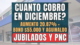 💲CUANTO COBRO EN DICIEMBRE AUMENTO  BONO UNICO Y AGUILALDO 👉🏼 JUBILADOS y PENSIONADOS PNC Y PUAM [upl. by Ahsik941]