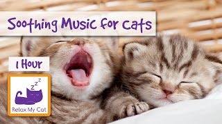 1 HOUR OF MUSIC FOR CATS Soothe Your Cat With Relaxing Music [upl. by Aneerol]