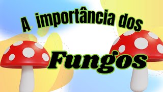 Benefício dos Fungos [upl. by Kumagai]