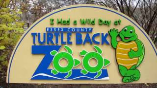 Turtle Back Zoo  West Orange NJ Animals [upl. by Ssepmet]