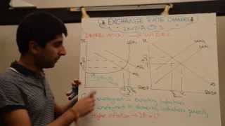 Impact of Exchange Rate Appreciations and Depreciations with Evaluation [upl. by Marylin]