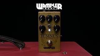 Wampler Tumnus Deluxe Overdrive Pedal  Gear4music demo [upl. by Eniad720]