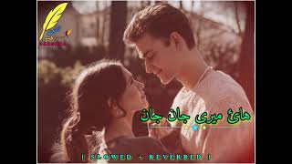 Hay Meri Jan Jan Pashto Mast Viral Song   Slowed  Reverbed [upl. by Eleon]