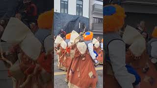 The Belgian Carnival aalst belgium ytshorts viral trending shorts youtubeshorts fun short [upl. by Ydaj298]