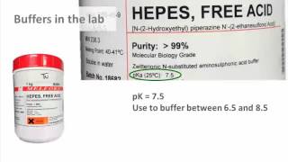 Biochemistry 33 Titration and buffers [upl. by Eward307]