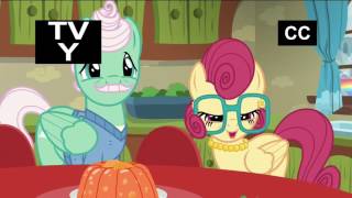 Blind Reaction MLP FIM S6 E11  quotFlutter Brutterquot [upl. by Llohcin]