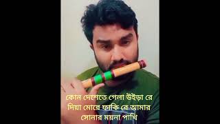 কোন দেশেতে গেলা উইড়া রে fluter musicgenre flute musicsong fluteplayer musicstyle [upl. by Dnomar]