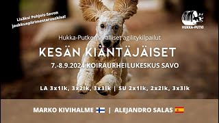 HUPU Viralliset agilitykilpailut 7892024  Koiraurheilukeskus SAVO [upl. by Ardnahcal]