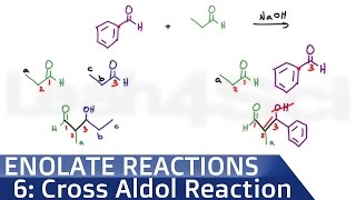 Crossed Aldol Condensation and ClaisenSchmidt Condensation [upl. by Frantz603]