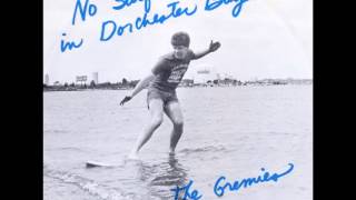 No Surfin in Dorchester Bay  The Gremies [upl. by Nurav]