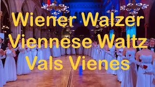 Part 2  Viennese Waltz  Wiener Walzer  Vienna Ball 🇦🇹 Viena [upl. by Ardekahs63]