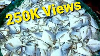 Biggest Fish Market In Chittagong Bangladesh  Fisheri Ghat [upl. by Kral369]