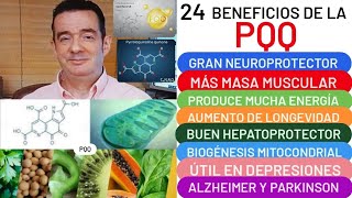 24 BENEFICIOS de❤️🌿🥝PQQ❤️CEREBRO🧠 MÚSCULO💪CORAZÓN💖LONGEVIDAD ALZHEIMER🧠PARKINSON DEPRESIÓN😮ARTRITIS🦴 [upl. by Anniroc]