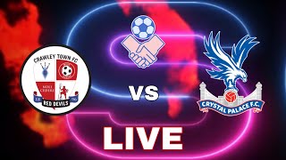 Crawley vs Crystal Palace  International Friendly 2024  Video Game Simulation [upl. by Lewis]