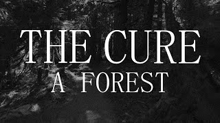 The Cure  A Forest  Subtitulada Español  Inglés [upl. by Airretnahs]