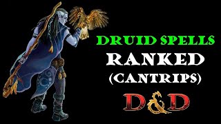 Druid spells ranked Cantrips [upl. by Ednyl]