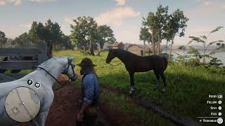 RDR2 TIPS TRICKS  How To OwN TwO BraitHwaite HorSes [upl. by Antsirhc]