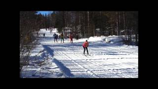 Vasaloppet 2013 crashes cut Risberg vurpor HD [upl. by Hanikehs]