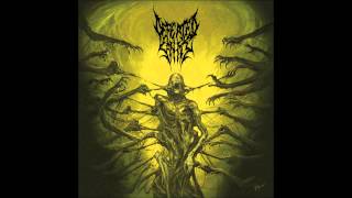 Defeated Sanity  Verblendung [upl. by Merta]