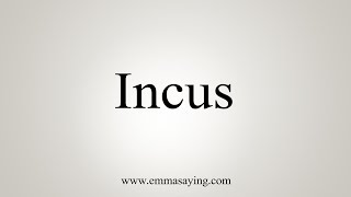 How To Say Incus [upl. by Lilla]