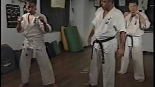 Shidokan Videos 01 [upl. by Fredi]