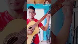 La pelea con el diablo  Octavio Mesa Requinto [upl. by Ydnelg126]