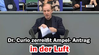 Ampel Deutschwerden leicht gemacht  Dr Gottfried Curio [upl. by Burch]