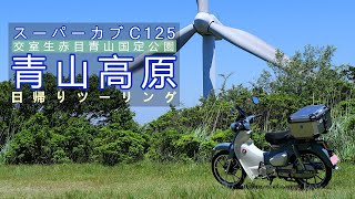 スーパーカブ C125で青山高原へツーリング [upl. by Donall472]