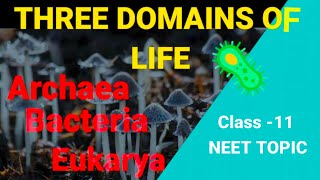 Three domains of life  six kingdom classification  class 11  Neet [upl. by Eicrad]