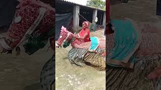 ढोलक डफली डांस dance dholak music harmoniyam harmuniyam song tabla viralvideo bhojpuri [upl. by Nitsid]