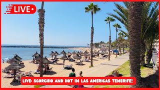 🔴LIVE SCORCHIO amp BUSY in Las Americas Tenerife BUSIER THAN NORMAL Canary Islands Spain 2024 🙌🏼☀️ [upl. by Werra]