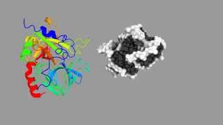 Simulation of the aptamerthrombin binding [upl. by Aruon]