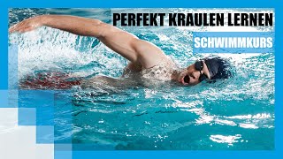 Schwimmkurs Perfekt Kraulen lernen  FIT FOR FUN [upl. by Joli]