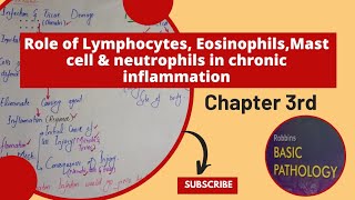 Role of LymphocytesEosinophilsMast cells and Neutrophils in Chronic inflammationpathologyrobbins [upl. by Codie751]