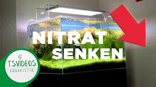 Nitrat im Aquarium senken [upl. by Drugi]