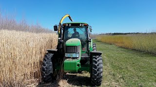 Miscanthus harvesting Spring 2019 [upl. by Faxan]