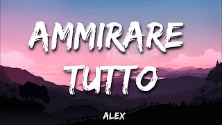 Alex  Ammirare tutto Testo e Audio [upl. by Sharl581]