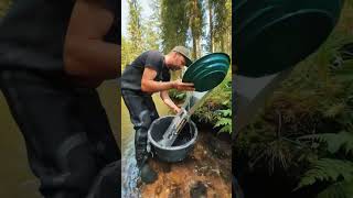 Gold prospecting in Germany carpfishing goldhunter viralshorts shorts viral ytshorts [upl. by Hanako729]