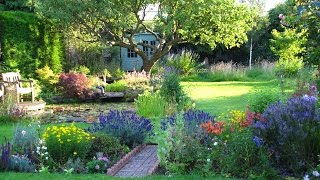 The Cottage Garden in Surrey  An English Country Garden Through the Seasons [upl. by Harutek]