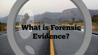 Types of Forensic Evidence [upl. by Ferdinanda]