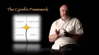 The Cynefin Framework [upl. by Eillom]