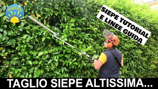 TUTORIAL POTATURA SIEPE altissima quasi 4 metri PROVA PRATICA DI TAGLIO da terra e LINEE GUIDA [upl. by Xena]